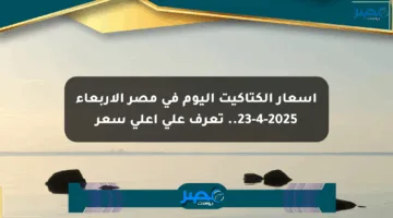 أسعار الكتاكيت اليوم في مصر الأربعاء 23-4-2025.. تعرف على أعلى سعر